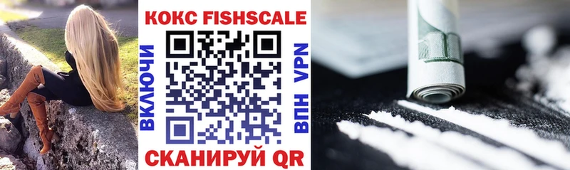Cocaine Fish Scale  MEGA ССЫЛКА  Куртамыш  купить закладку 
