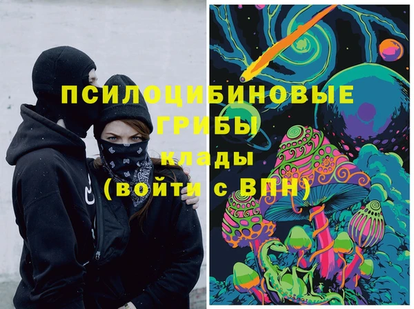стаф Алзамай