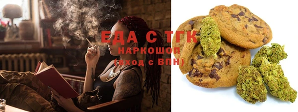 стаф Алзамай